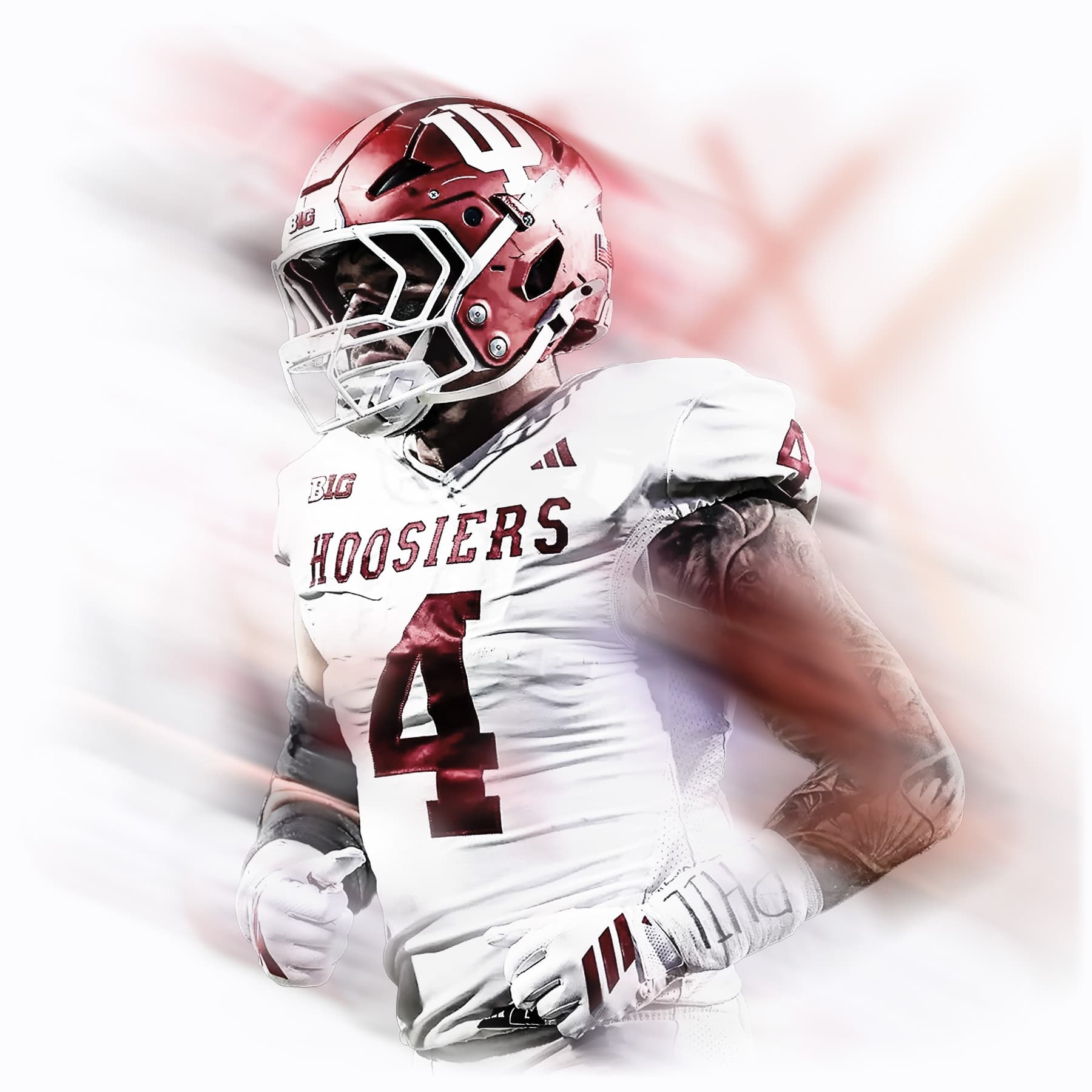 Fisher Stylized Image