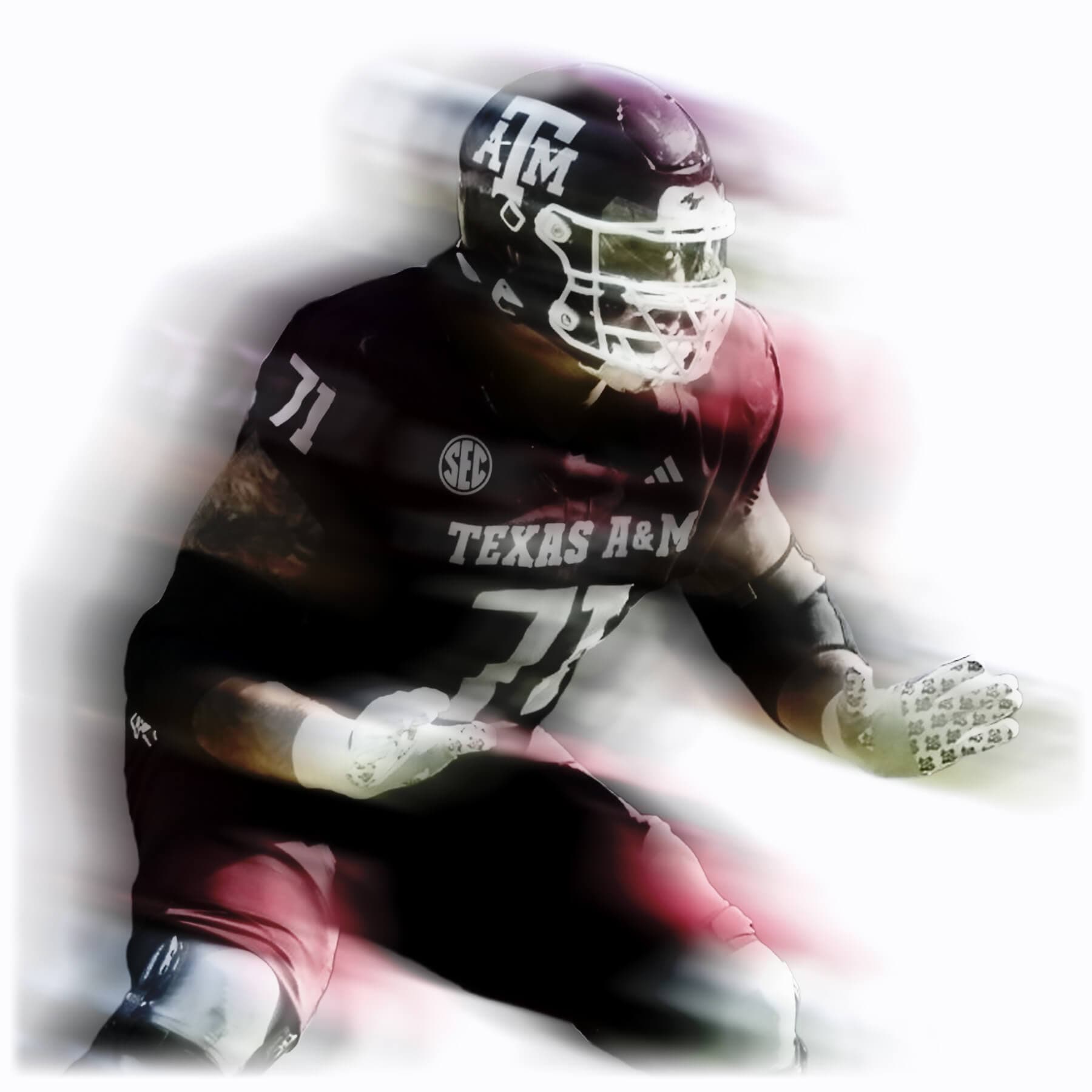 Bisontis Stylized Image